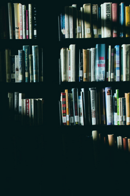 My 2020 Reading List: It's Short and Has Issues